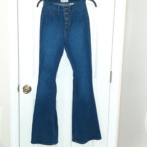 Vibrant High Rise Flare Jeans